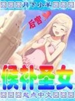 苏乔沈修瑾免费阅读无弹窗