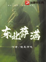 唐念沈寒舟的小说全文免费阅读无弹窗